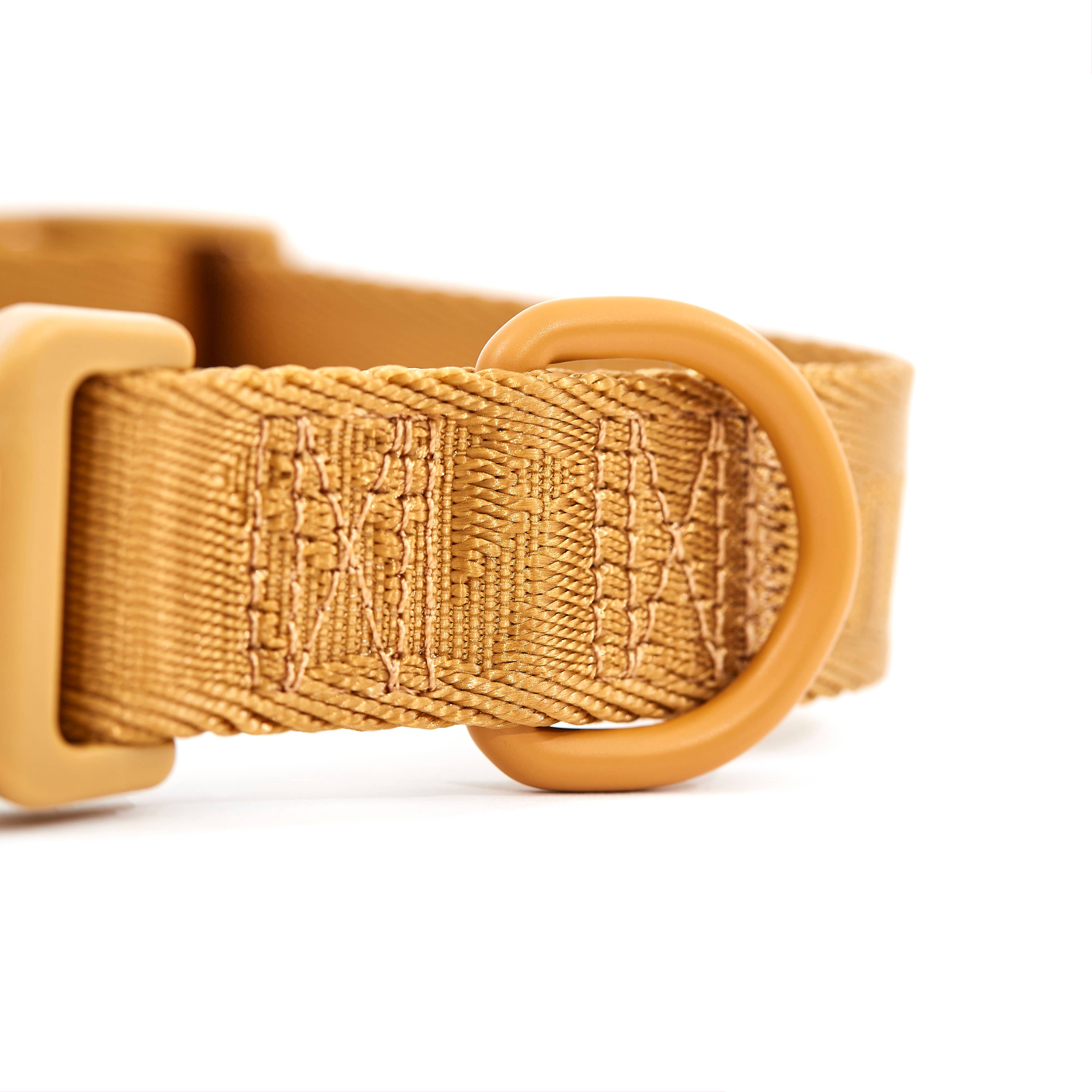 ARISTOPET - Wholesale Pet Collar - Dog - SIGNATURE COLLAR9