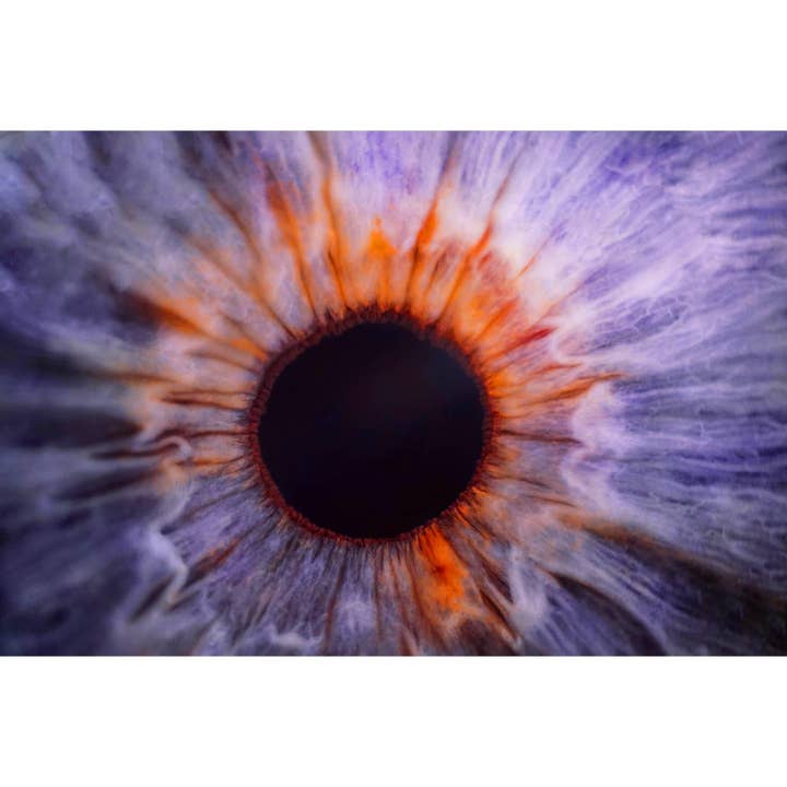 Arte dello studio medico - COLORED EYE MACRO IRIS per la vendita all'ingrosso da parte di Queence