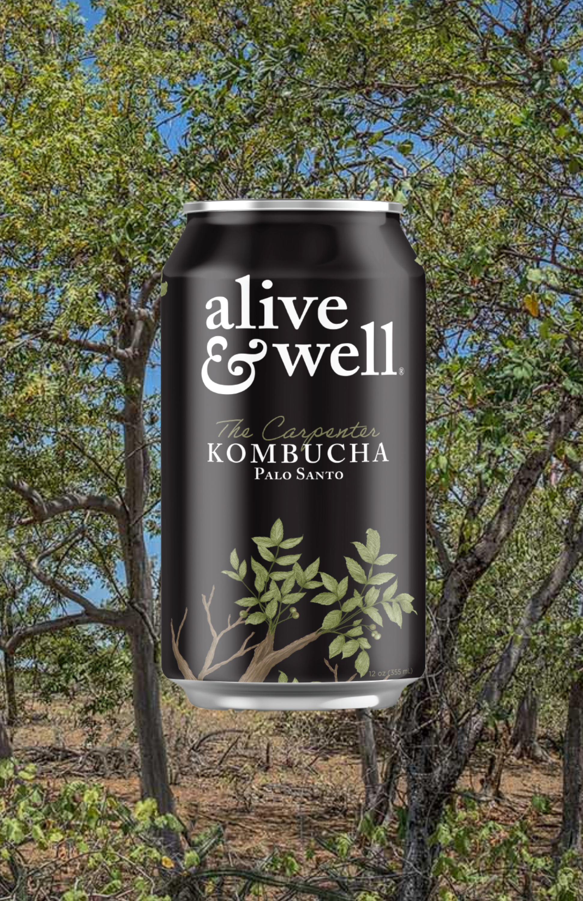 Alive & Well Kombucha - Wholesale Kombucha - Palo Santo Kombucha2