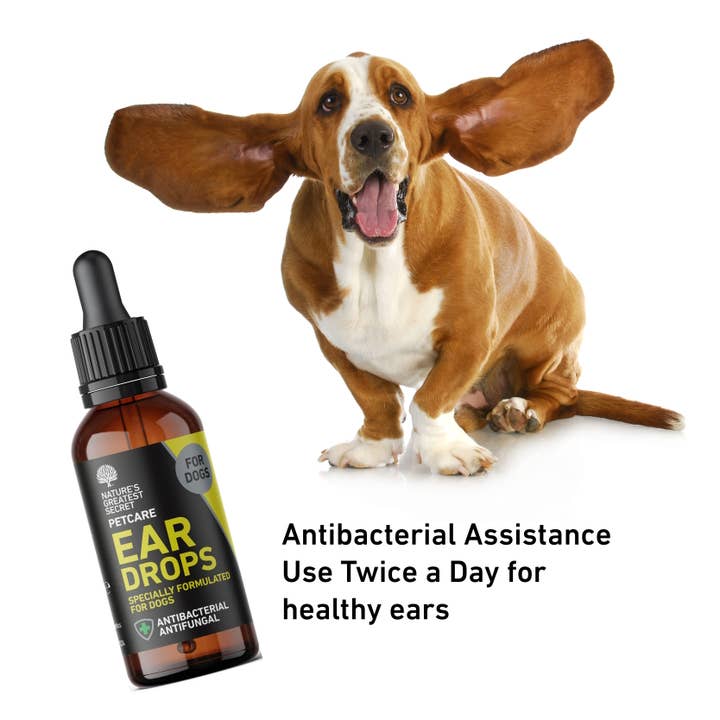 Natures Greatest Secret - Wholesale Pet Supplement - Dog - Cleansing Colloidal Silver PetCare Ear Drops for Dogs 30ml