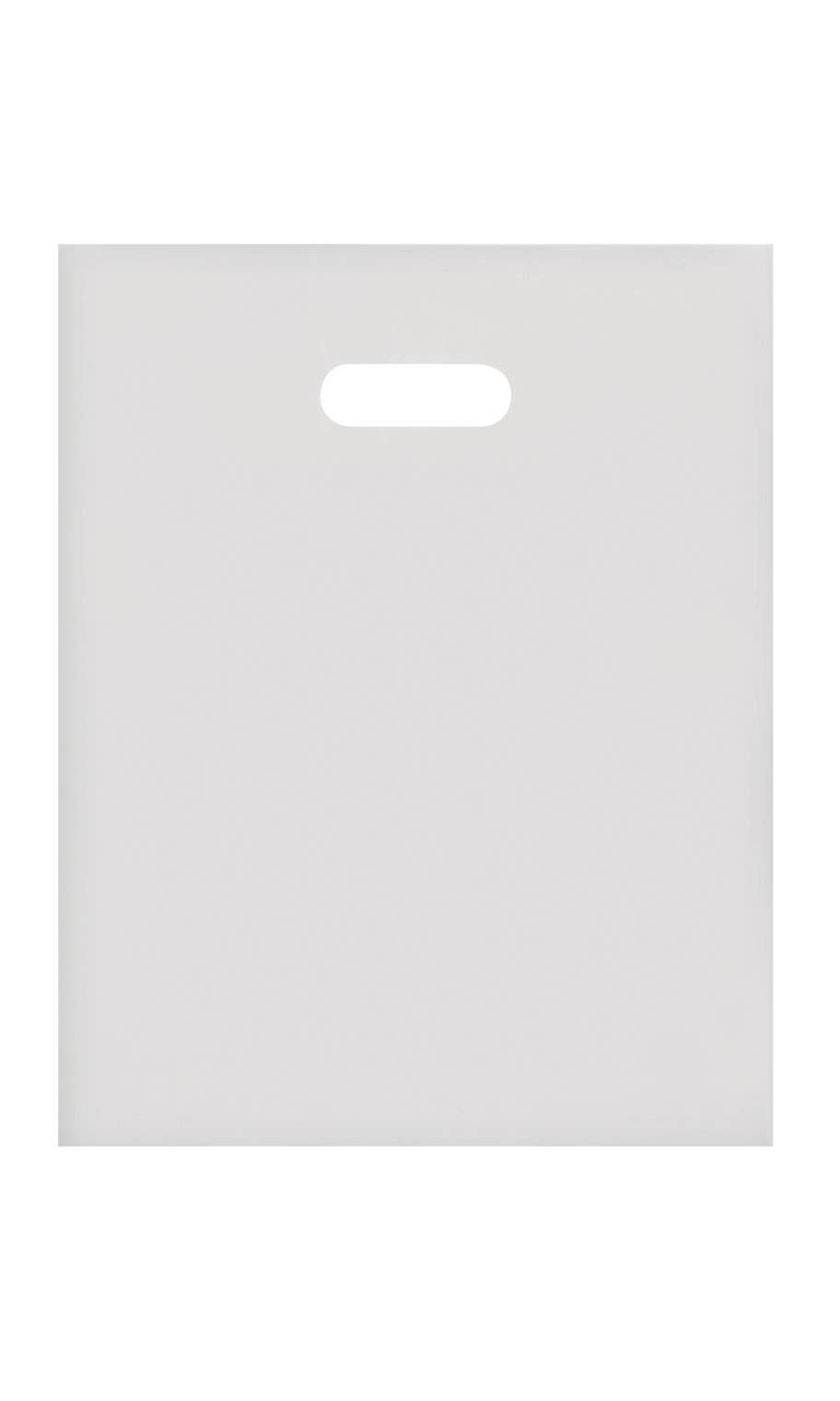 Store Supply Warehouse - Wholesale Gift Bag - Frosted Retail Merchandise Bags9