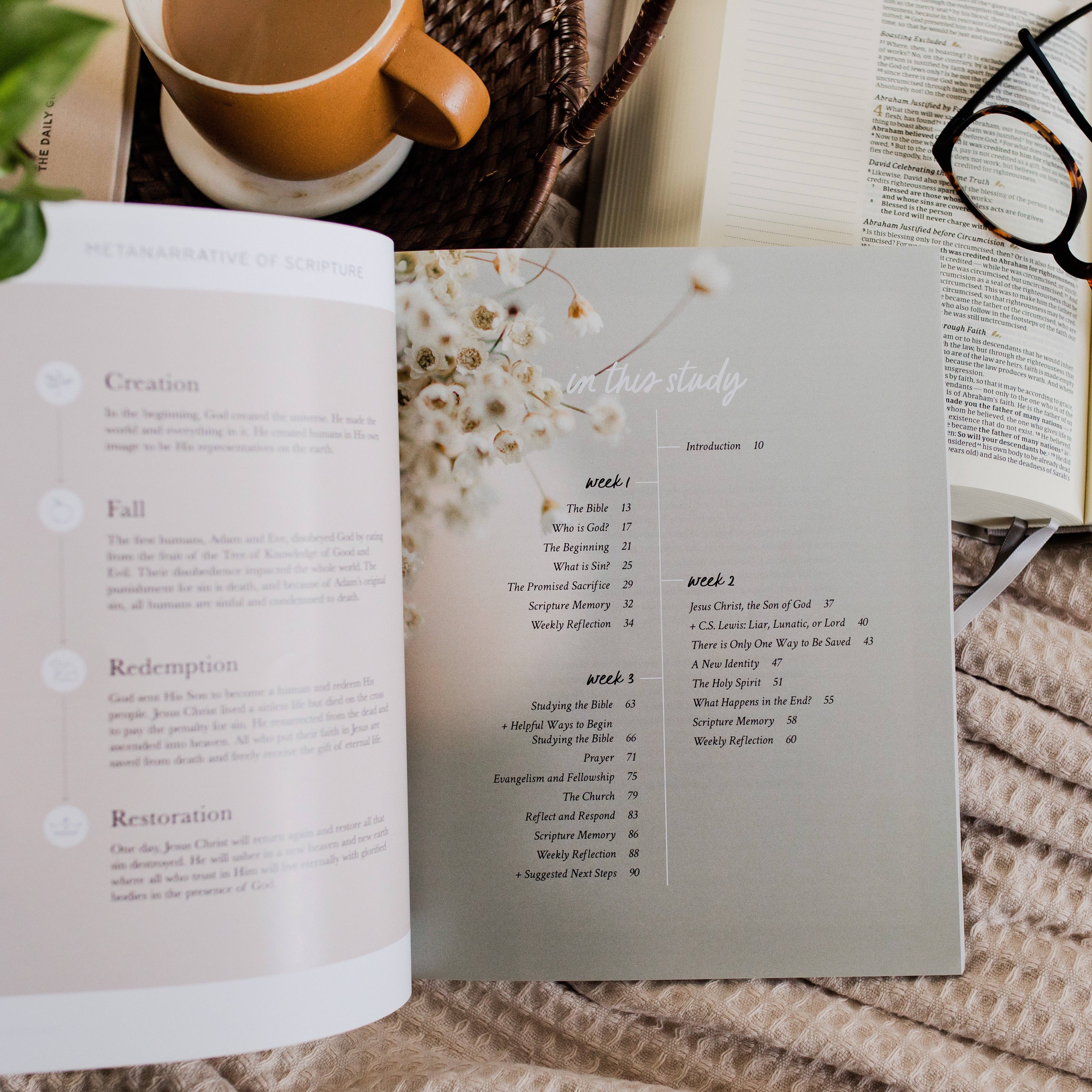 The Daily Grace Co - Wholesale Religion - Faith Foundations | A Study on the Basics of Christianity1