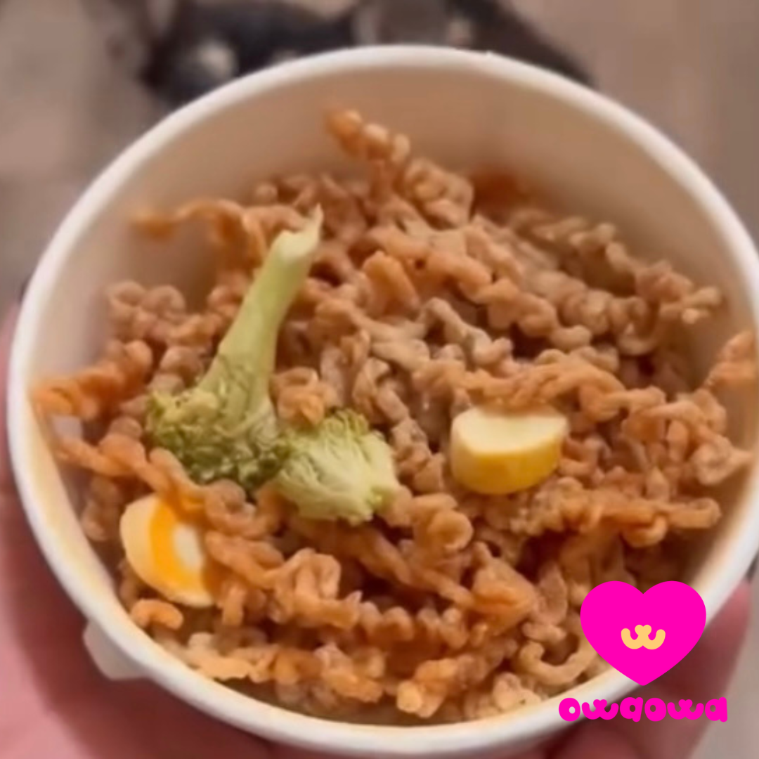 Owa Owa - Wholesale Pet Treats - Dog - Pup Noodles Chicken- VIRAL cup noodles for dogs & cats3