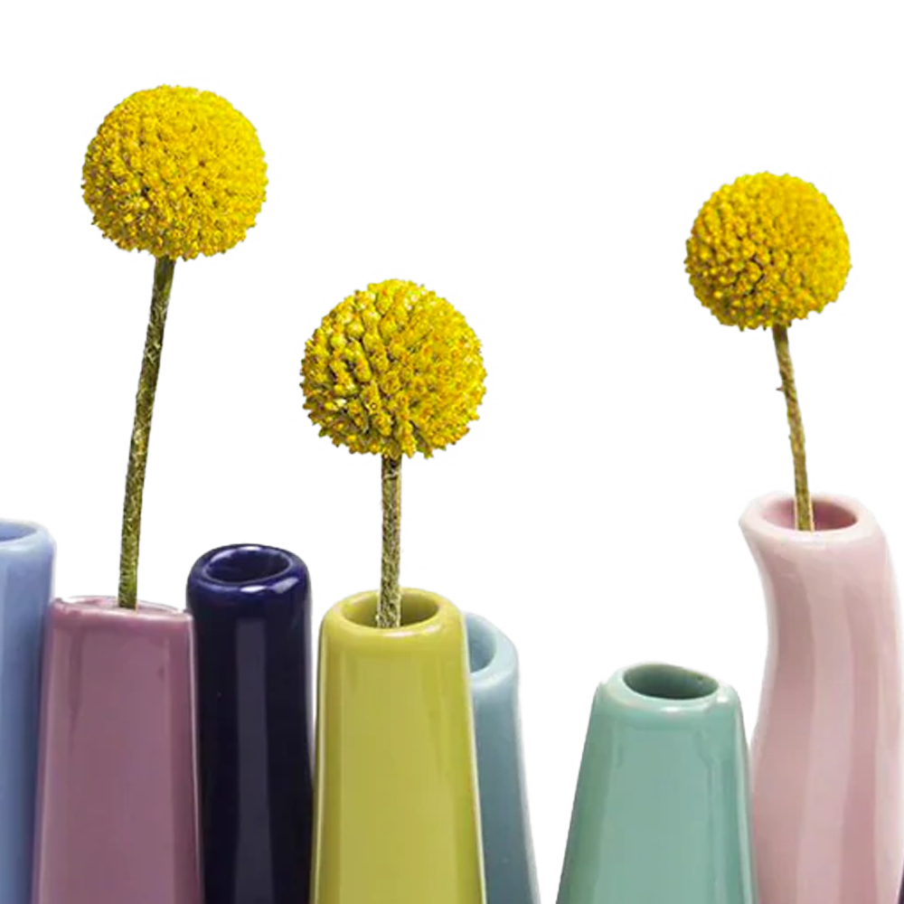 Chive - Wholesale Vase - Pooley Colorful Bud Vase For Flower Arranging Rectangular28