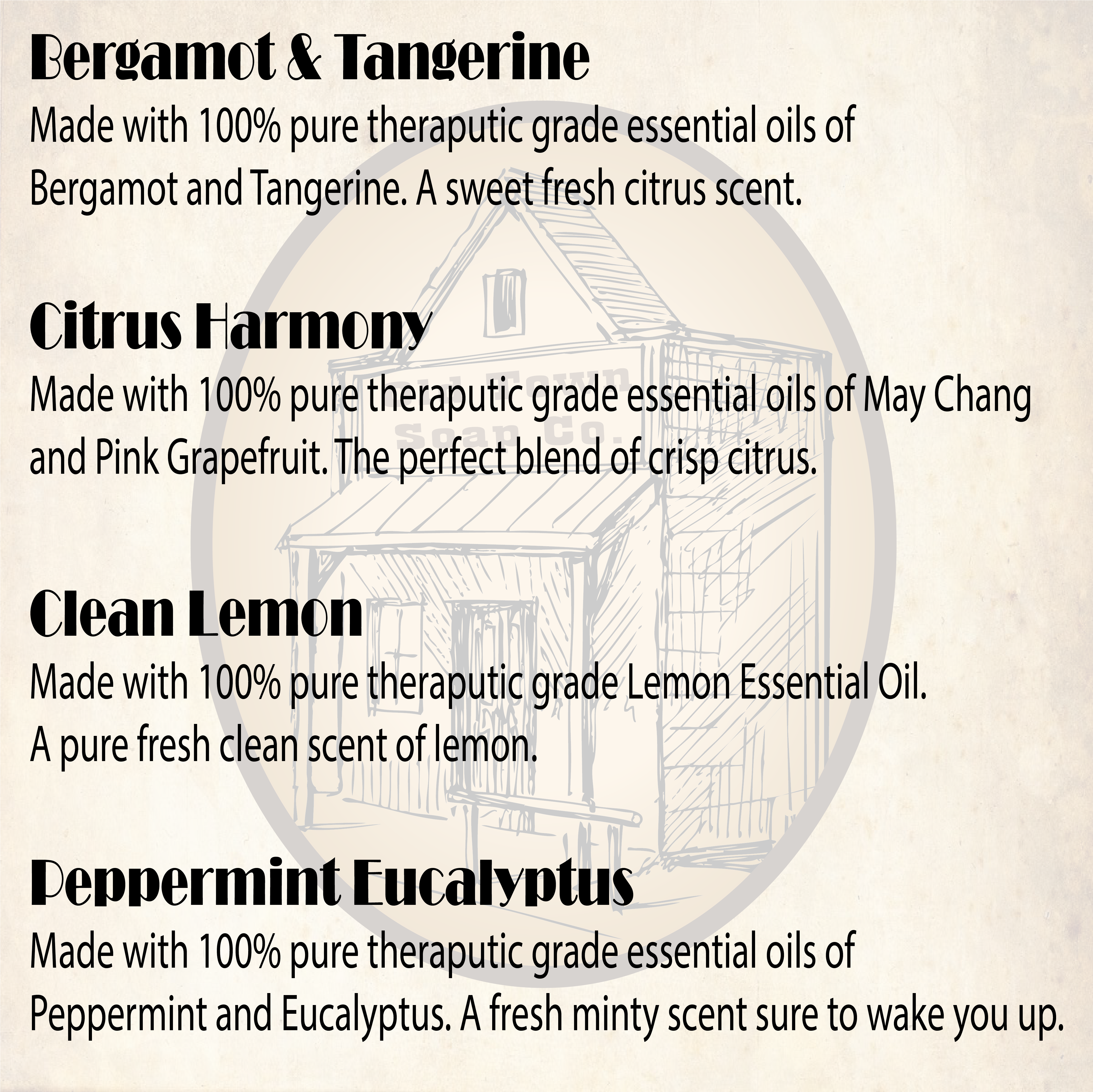 Old Town Soap Co. - Wholesale Dish Soap - Dish Soap Bar -Avail in 4 Scents -For Sparkling Clean Dishes2