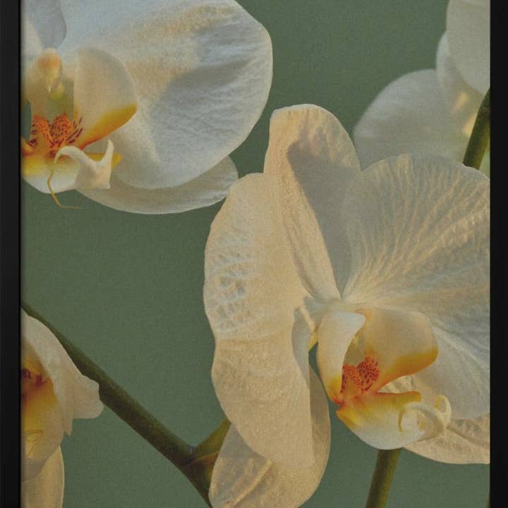 "Floral Haven" Framed Textured Wall Art for wholesale by Ready2hangart, Inc.