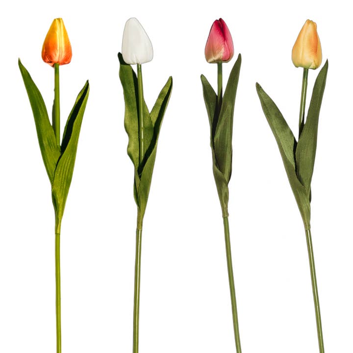 FS120 Tulipe 15,75" PK 24 pour la vente par Myrians Home Decor