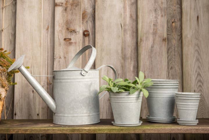 Fallen Fruits Ltd – wholesale Watering can – OZ44 - Old Zinc Watering Can (3.6Lt)1