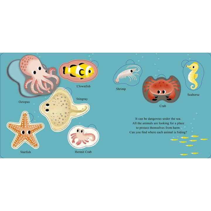 Schiffer Publishing - Wholesale Preschool Book (3-5) - Who Is Hiding in the Sea?1