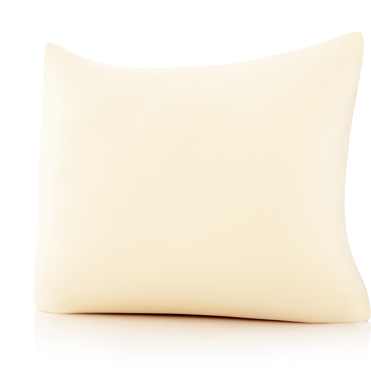 Husband Pillow - Wholesale Throw/Decorative Pillow - 360 - PilSpan-22X22-OffCream21
