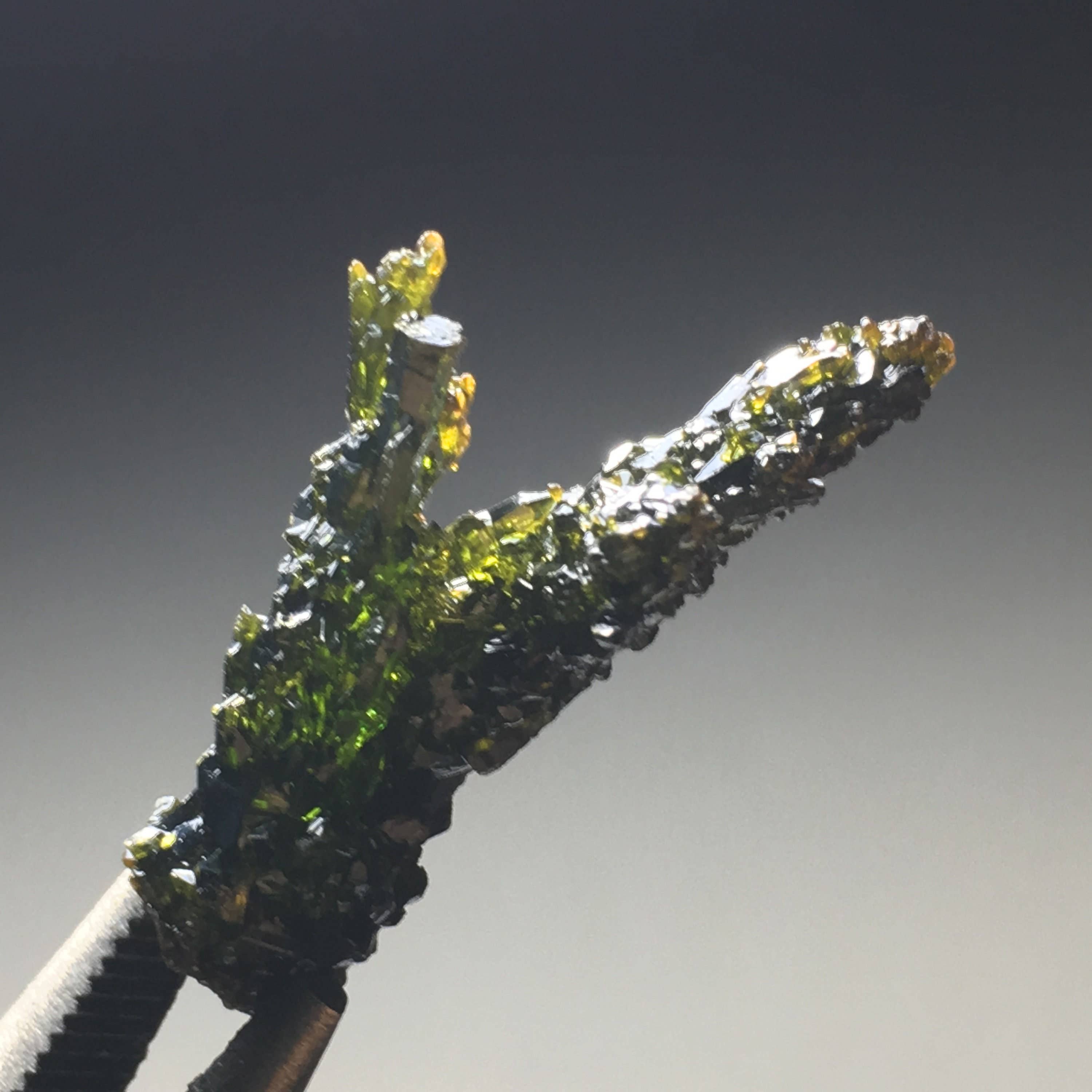 Wildheart Crystals - Wholesale Spiritual Stone/Crystal - Nice Green Terminated Zincite Crystal5