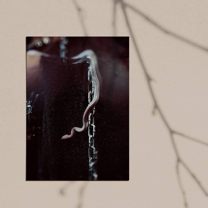 Lámina Giclée Serpiente Encadenada para venta al por mayor de Nyxturna