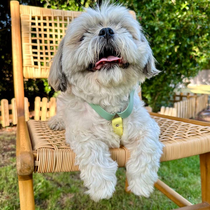 L&Z Dogwear - Wholesale Pet Harness - Dog - Hypoallergenic Waterproof Harness WILLOW - Biothane®3