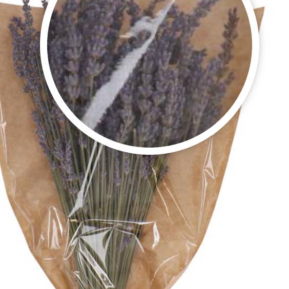 Capital Florist - Wholesale Dried/pressed flowers - French Lavender (Dried)2