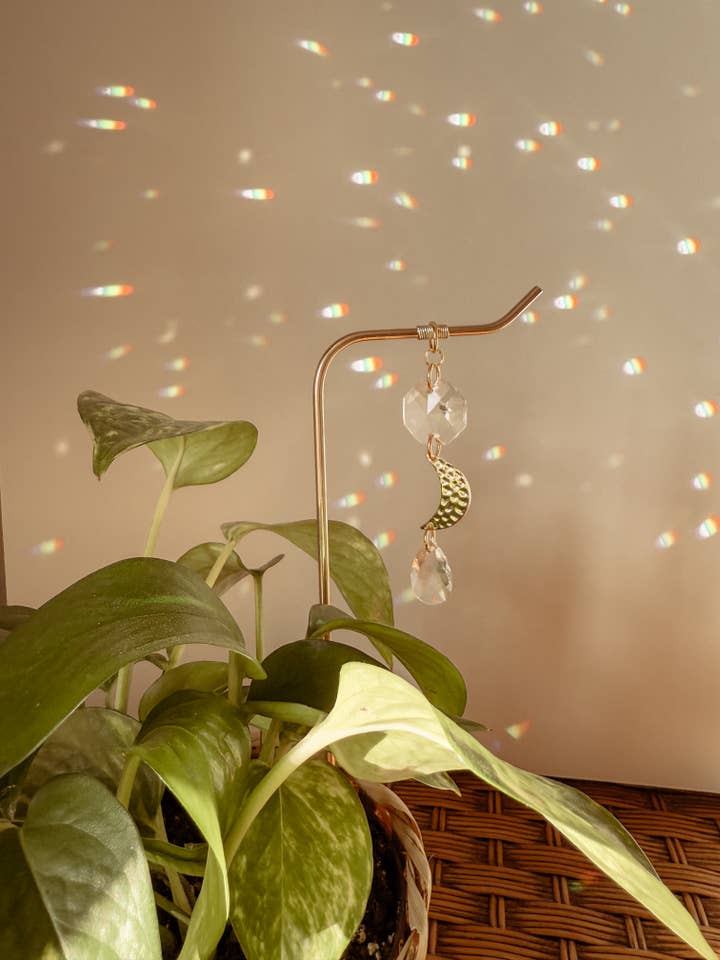 Pflanzenstütze | Sonnenfänger + Mondanhänger | Sonnenlichtreflektor für den Großhandel von Meraki The Studio Co.