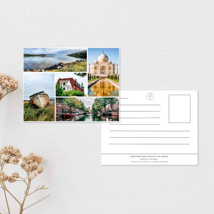 simply blessed shy - Wholesale Postcard - Travel Postcard
