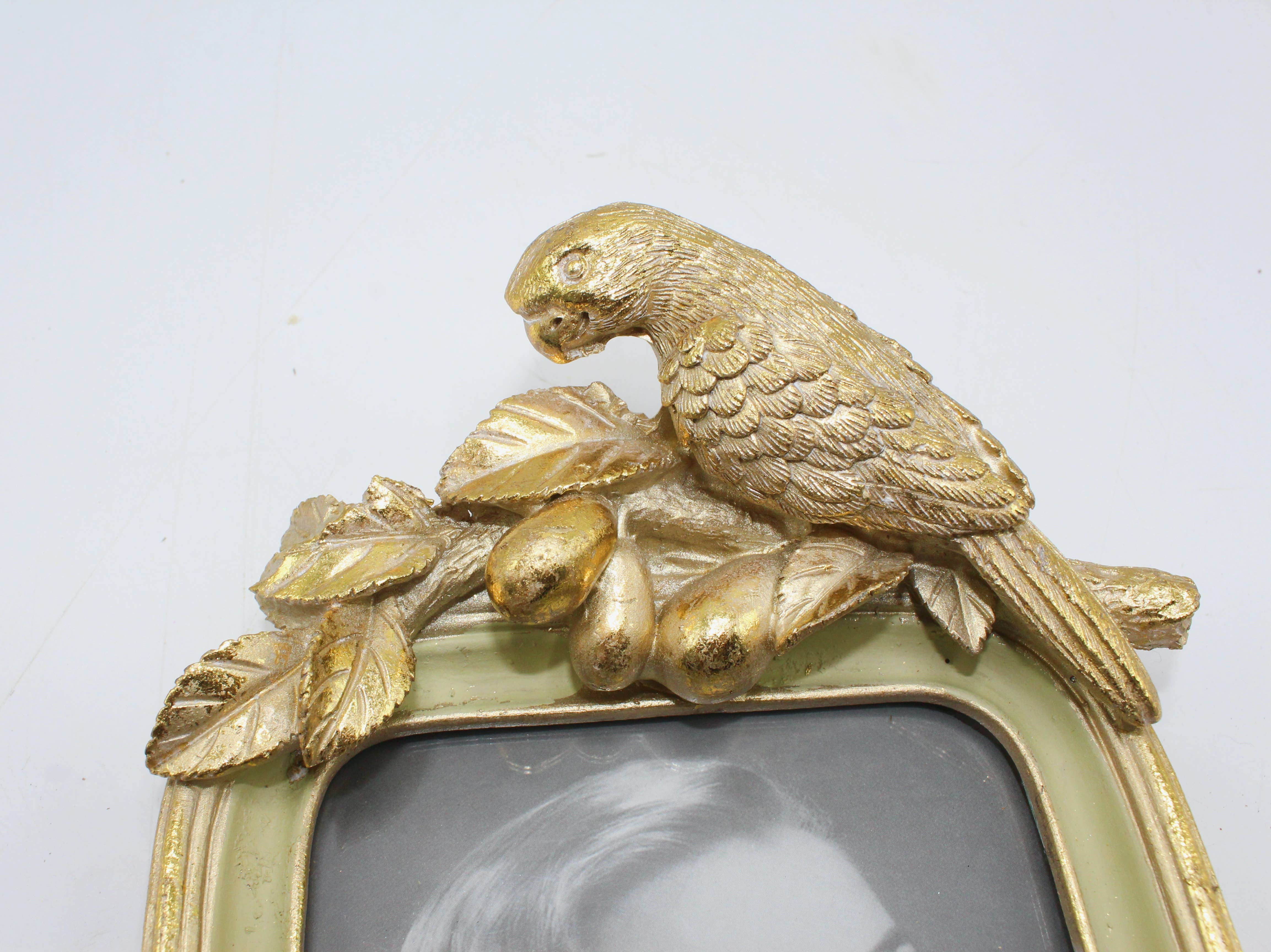 Fioretto Renato S.r.l. - Wholesale Picture Frame - Photo frame with parrot1