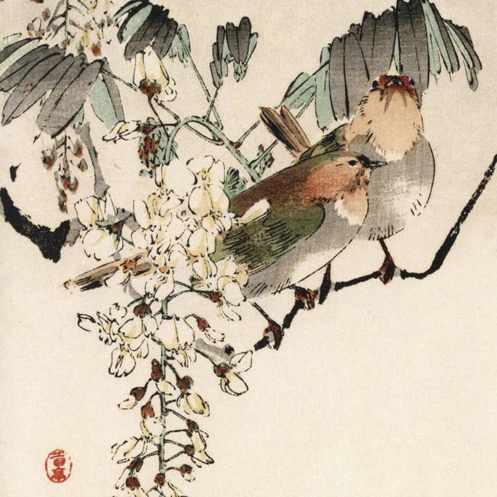 CATCH 12X12 CARTES DOUBLES NC 32763 pour la vente par Phenicia