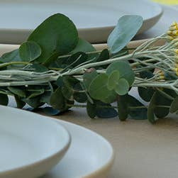 Lisbon Beige Dessert Plate for wholesale by Isara Table