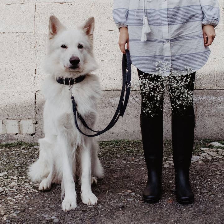 Molly and Stitch - Wholesale Pet Leash - Dog - Butter Leather 3x Adjustable Dog Leash - Navy Blue8