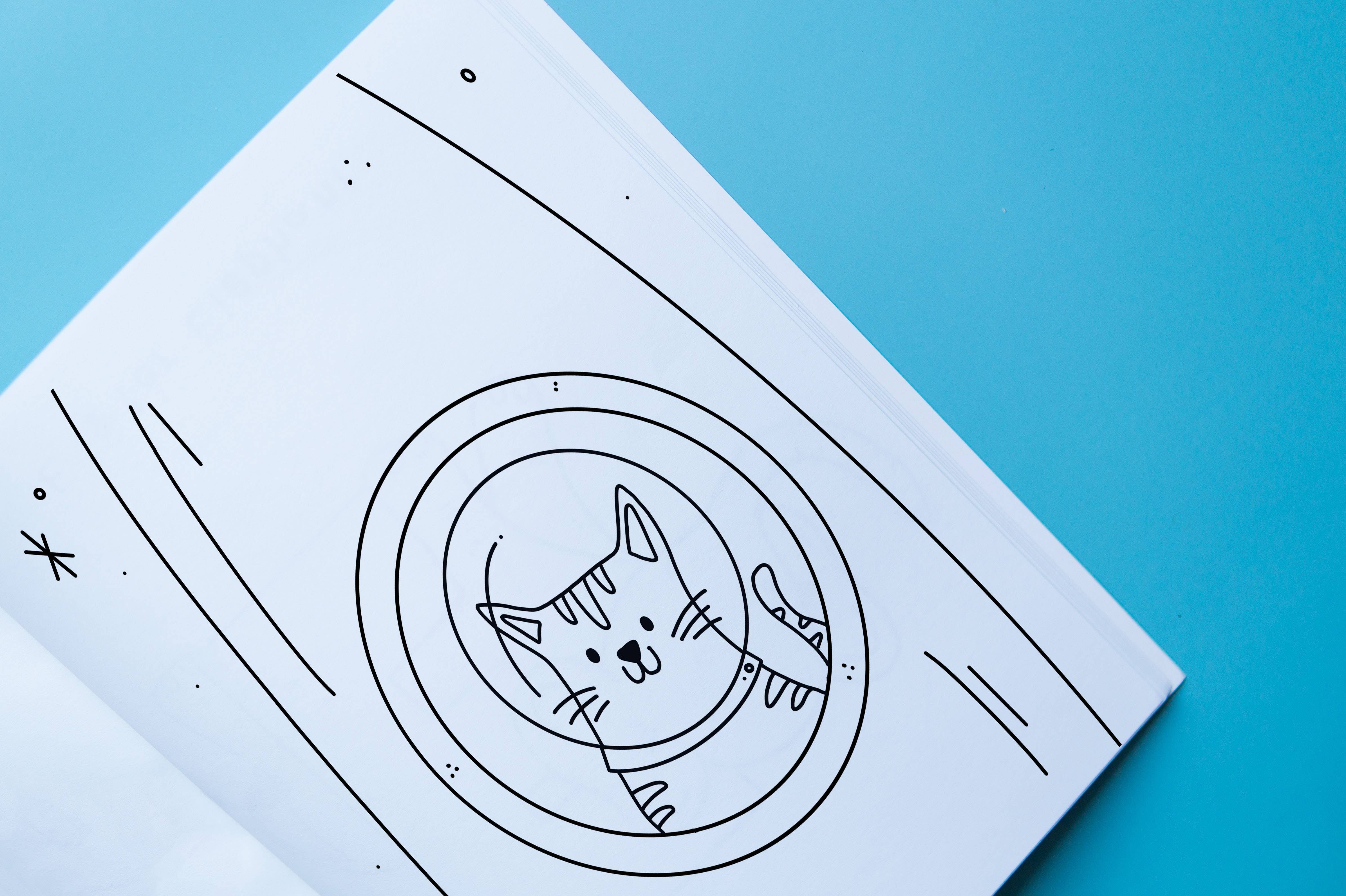 Brown Paper Fox – Livro para colorir - Crianças e bebés por atacado – Gatos no Espaço | Livro de Colorir | Capa Mole | 2ª Edição3