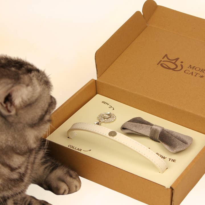 MoriCat Premium Gift Bundle Box with Teardrop Jewel in Crystal on White Collar with Silver Bowtie for wholesale by Moricat