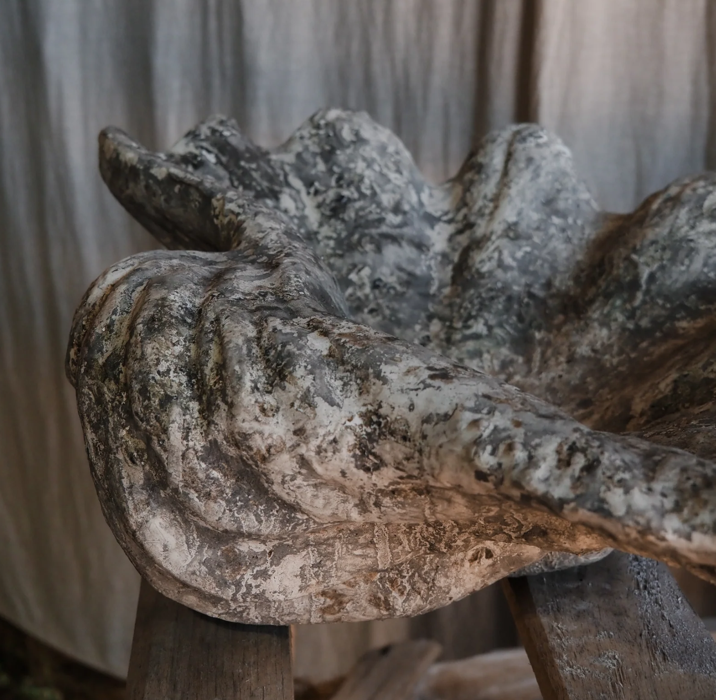 REMOVED BRAND - Wholesale Plant Pot - Vintage Terracotta shells 5