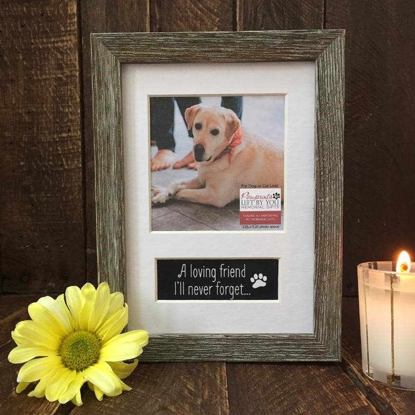 White Mat A Loving Friend Pet Memorial Photo Frame 6148 for wholesale on Faire1