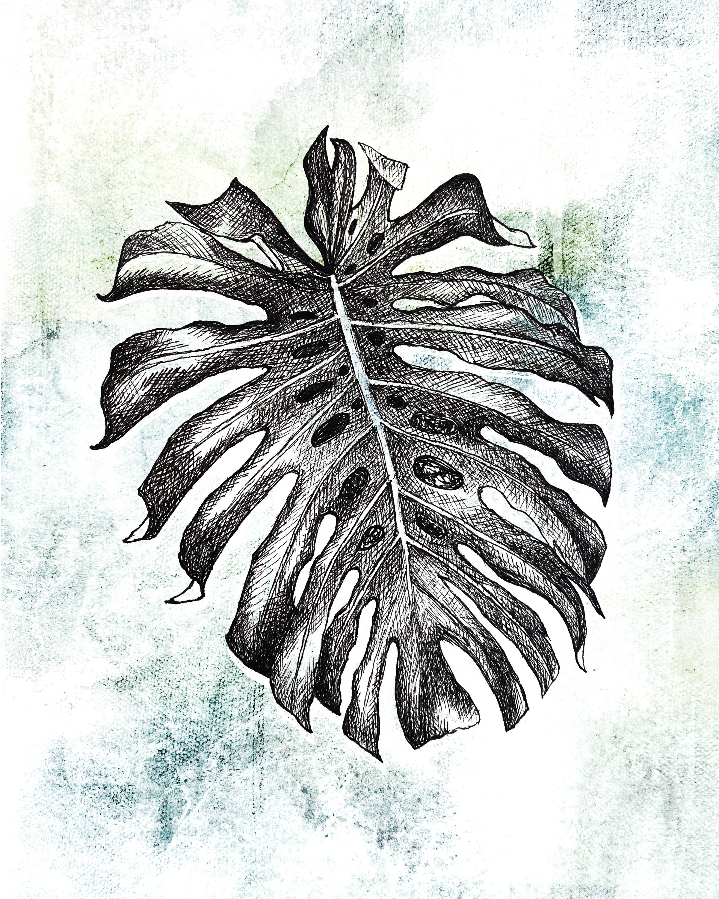 Jeanelle Demers - Wholesale Art Print - Monstera Art Print 8x10"1