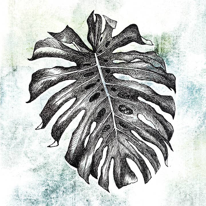 Jeanelle Demers - Wholesale Art Print - Monstera Art Print 8x10"1