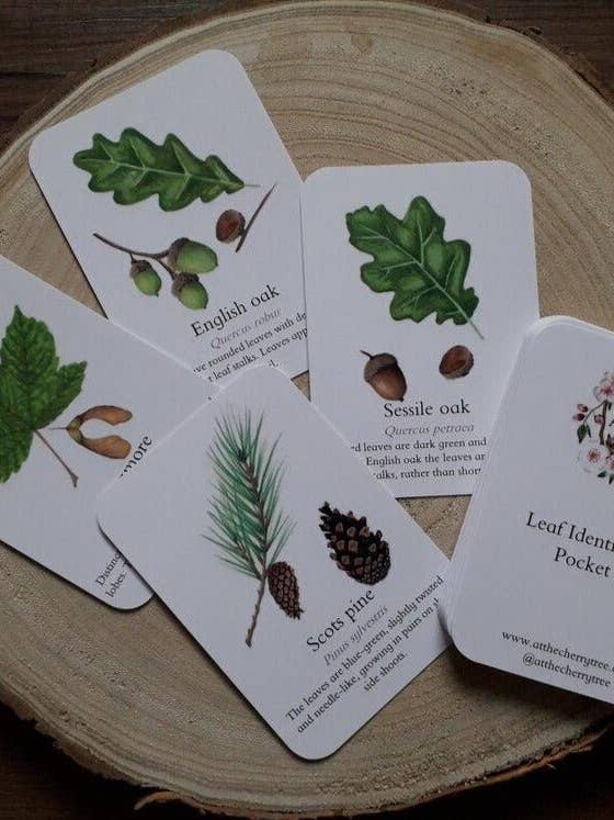 Leaf Identification - Pocket Set for wholesale by At the Cherry Tree