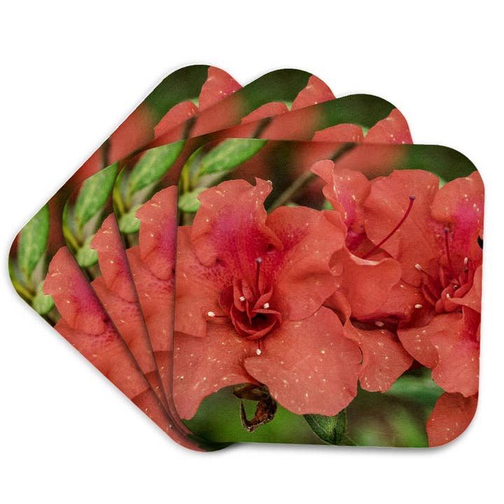 3dRose - Wholesale Coasters - 3dRose, Close-up of orange azalea bush, Coaster7