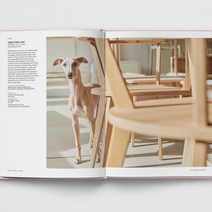 Hoxton Mini Press - Wholesale Pets - Dog-Friendly London8