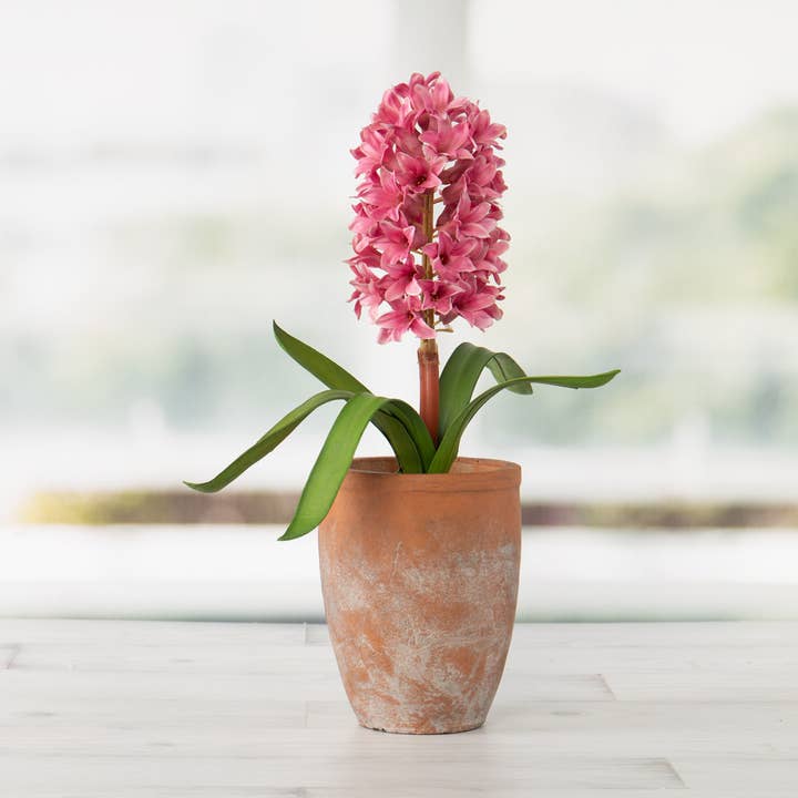 Willow Group - Wholesale Plant Pot - RD CEMENT TAPERED POT