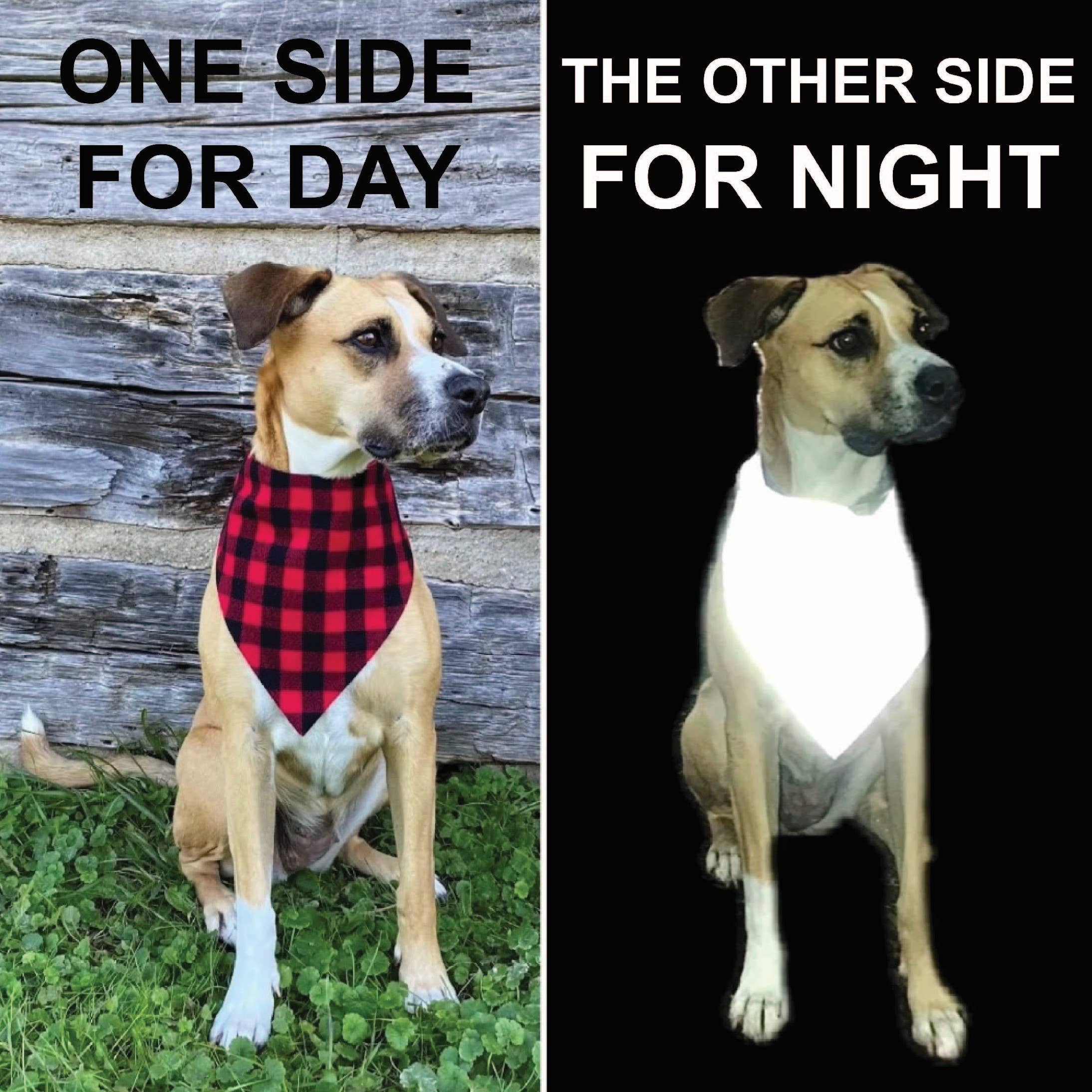 RUFFLECT Dog Bandanas - Wholesale Pet Bandana - Dog - Yellow RUFFLECT®/Stunt Puppy Dog Bandana3