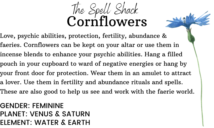 Witchuals - Rituals & Spellwork Apothecary – wholesale Meditation supplies – Cornflowers2