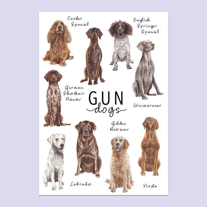 Gun Dogs A5 Print for wholesale by Lucy Locks Art