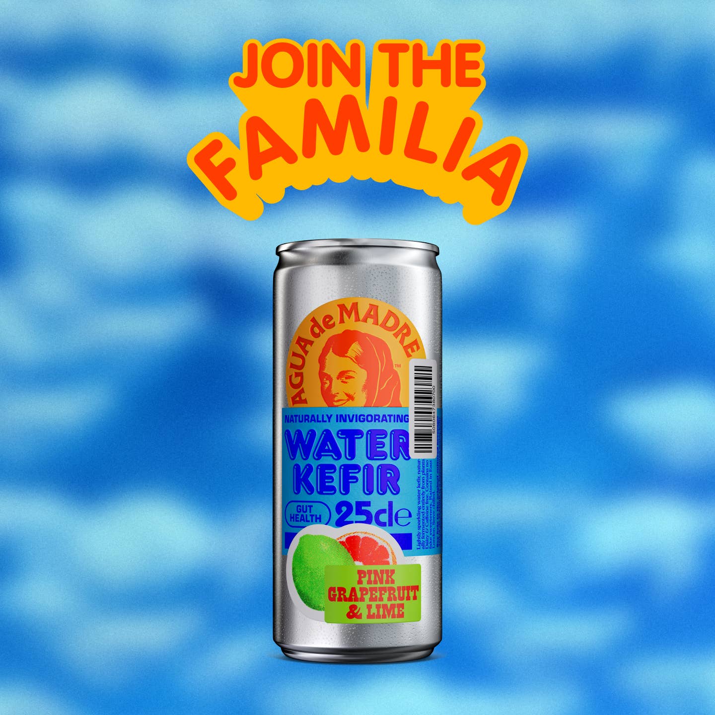 Agua De Madre - Vendita all'ingrosso Kombucha - Agua De Madre acqua kefir in lattina 25 cl5