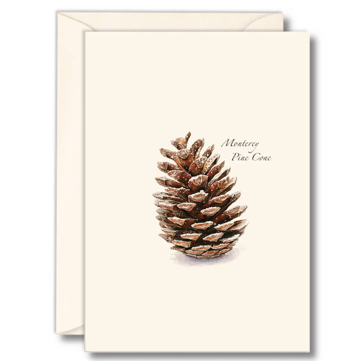 Earth Sky + Water - Wholesale Stationery/Notecard Set - Pine Cone