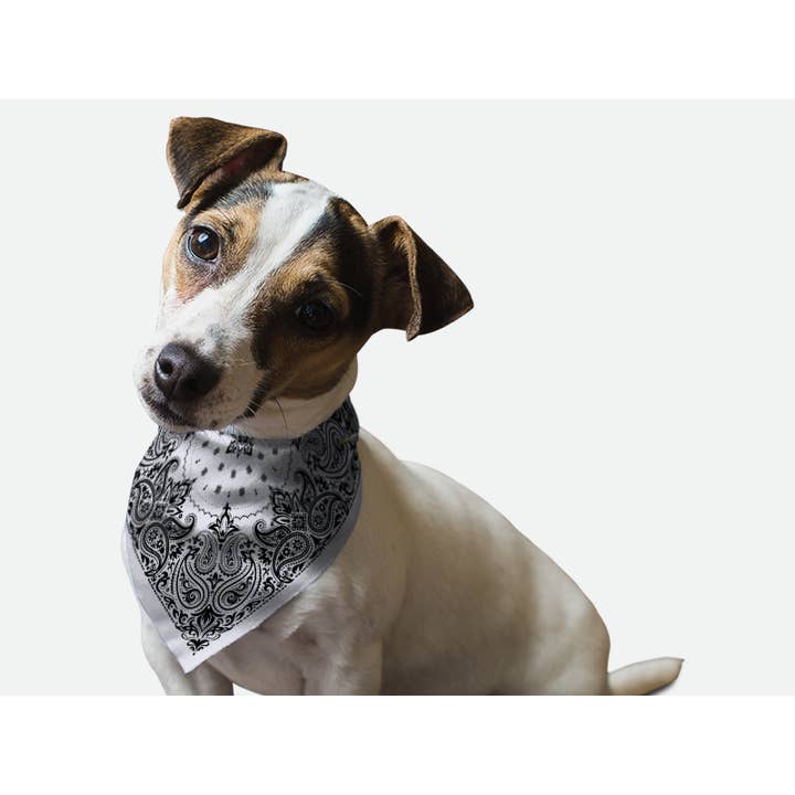 Bandoggies Breeze Pet Bandana - Large Grey Paisley for wholesale by Bandoggies