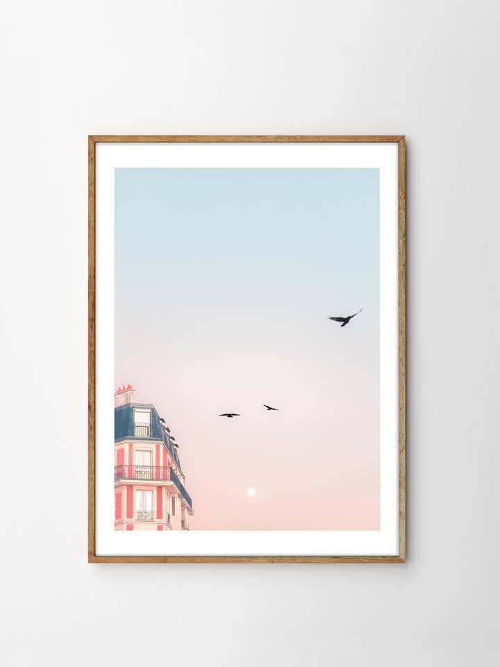 Laura Sanchez, Pink Paris for wholesale by Gustave