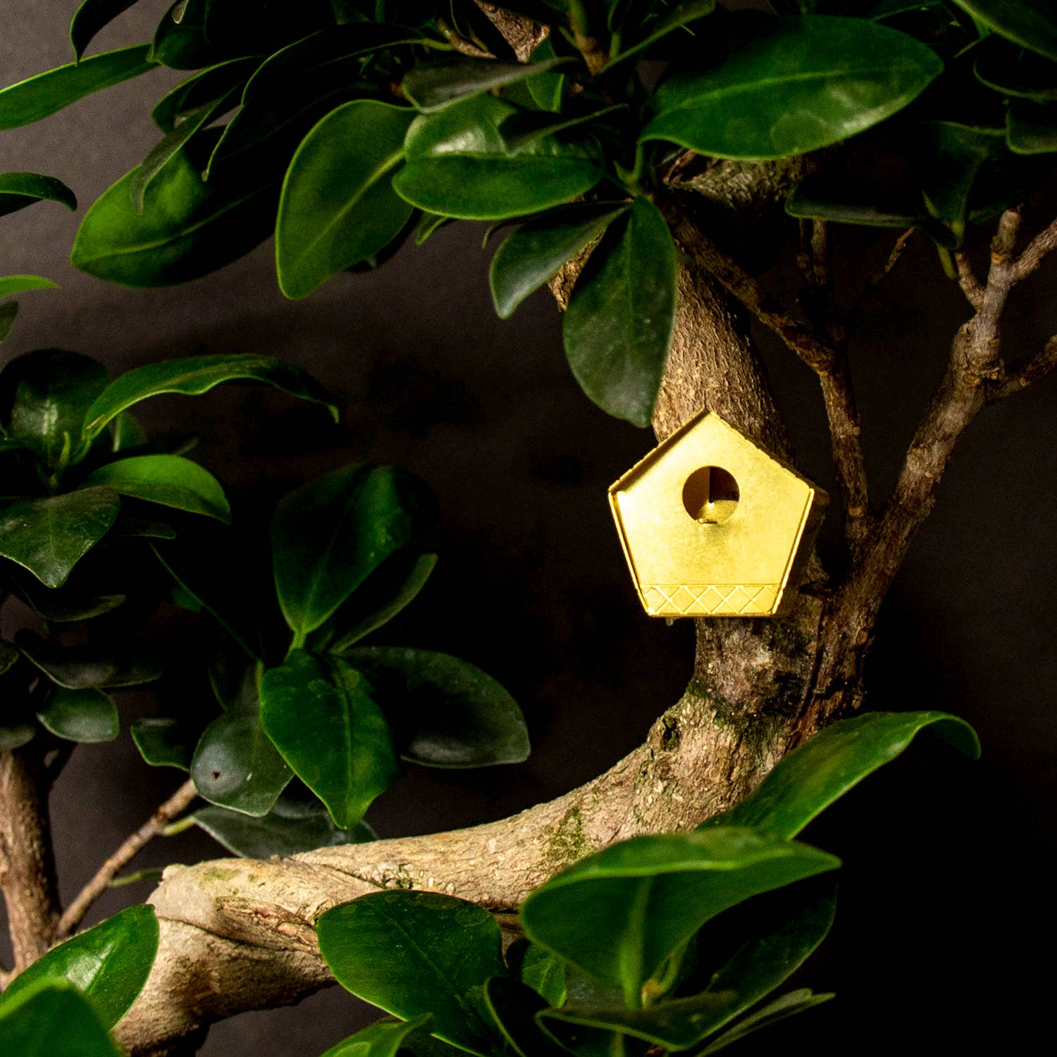 Botanopia - gifts , decor and cards for plant lovers – Engroshandel Fuglehus – Lille fuglehus til dine planter6