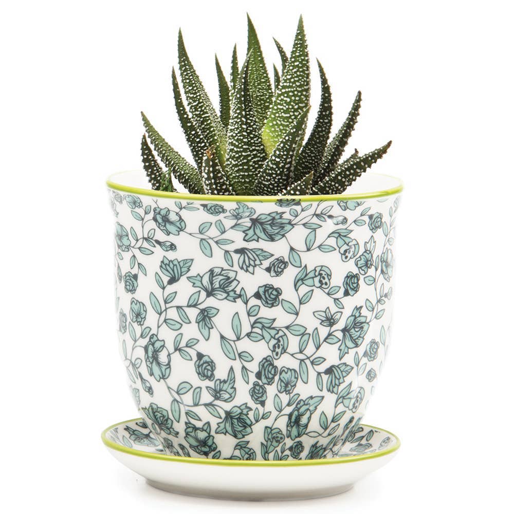 Chive UK – Großhandel Blumentopf – Liberte 3 - Keramik-Blumentopf mit Untersetzer und Abflussloch11