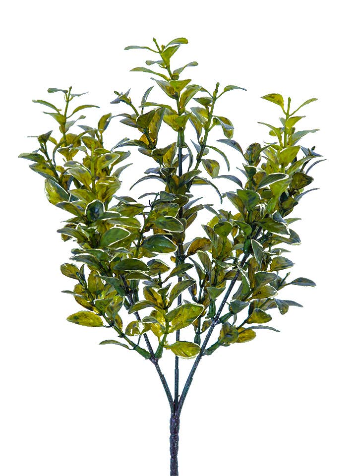 13" MYRTLE BUSH for wholesale by American Best