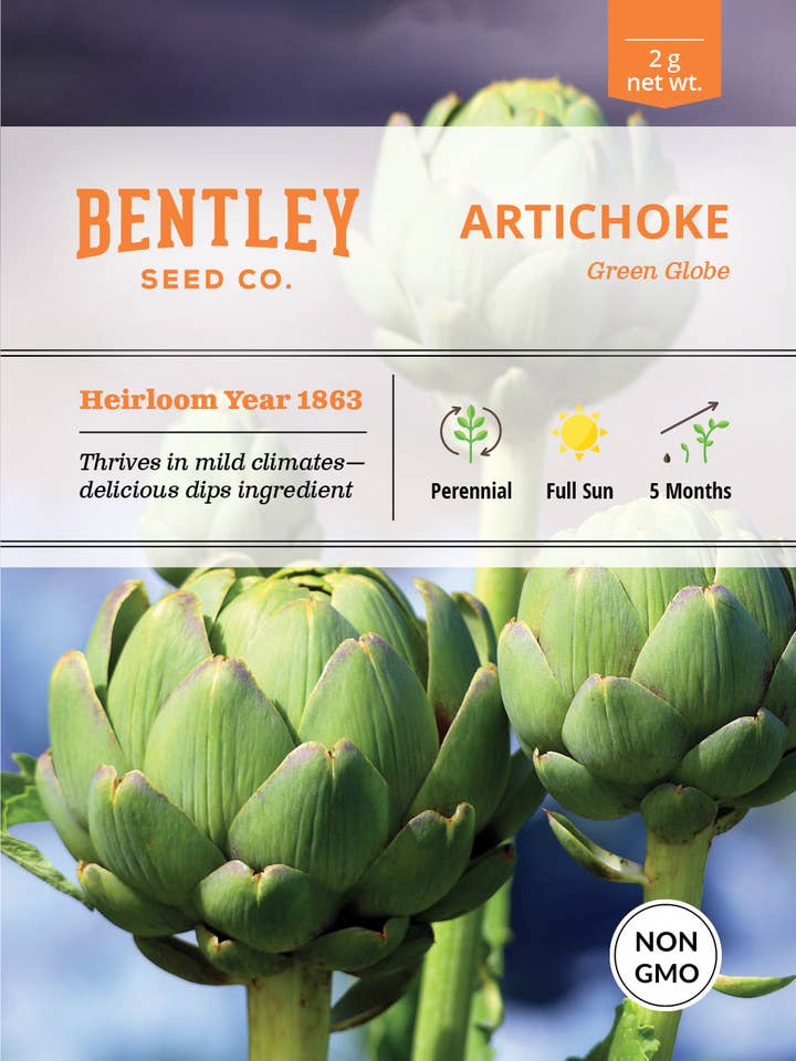 Artichoke, Green Globe Seed Packets for wholesale by Bentley Seed Co.
