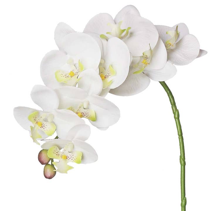 General Wholesale Inc - Wholesale Artificial Flowers - NATURAL TOUCH PHALAENOPSIS ORCHID x9, 35.8"; WHITE - 4920-W