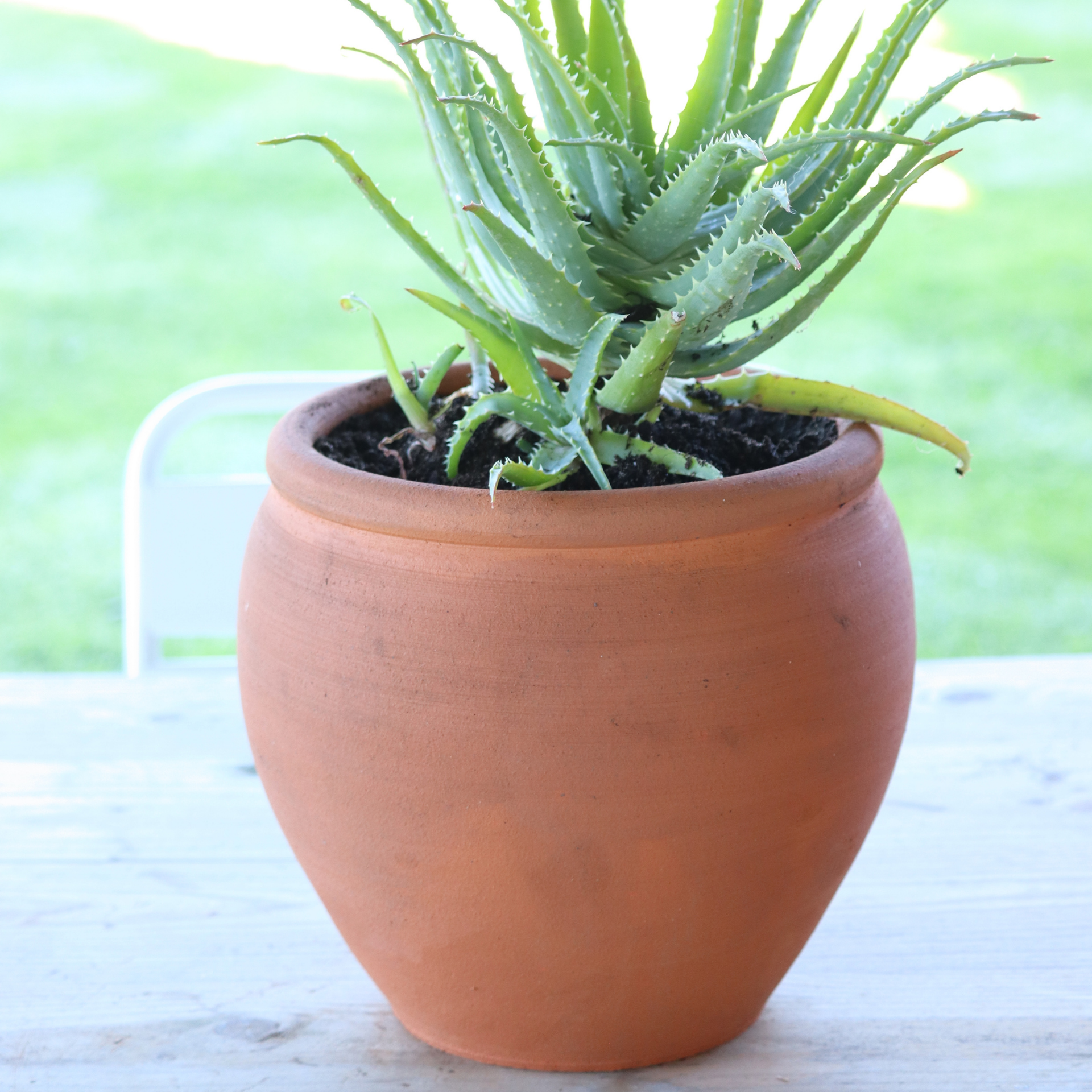 Poterie lutton - Wholesale Plant Pot - Traditional French pottery4