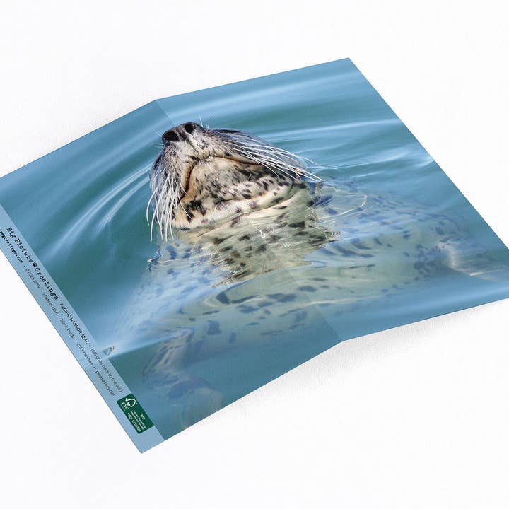 “Breathe” Harbor Seal for wholesale by Elster Photography/Big Picture Greetings