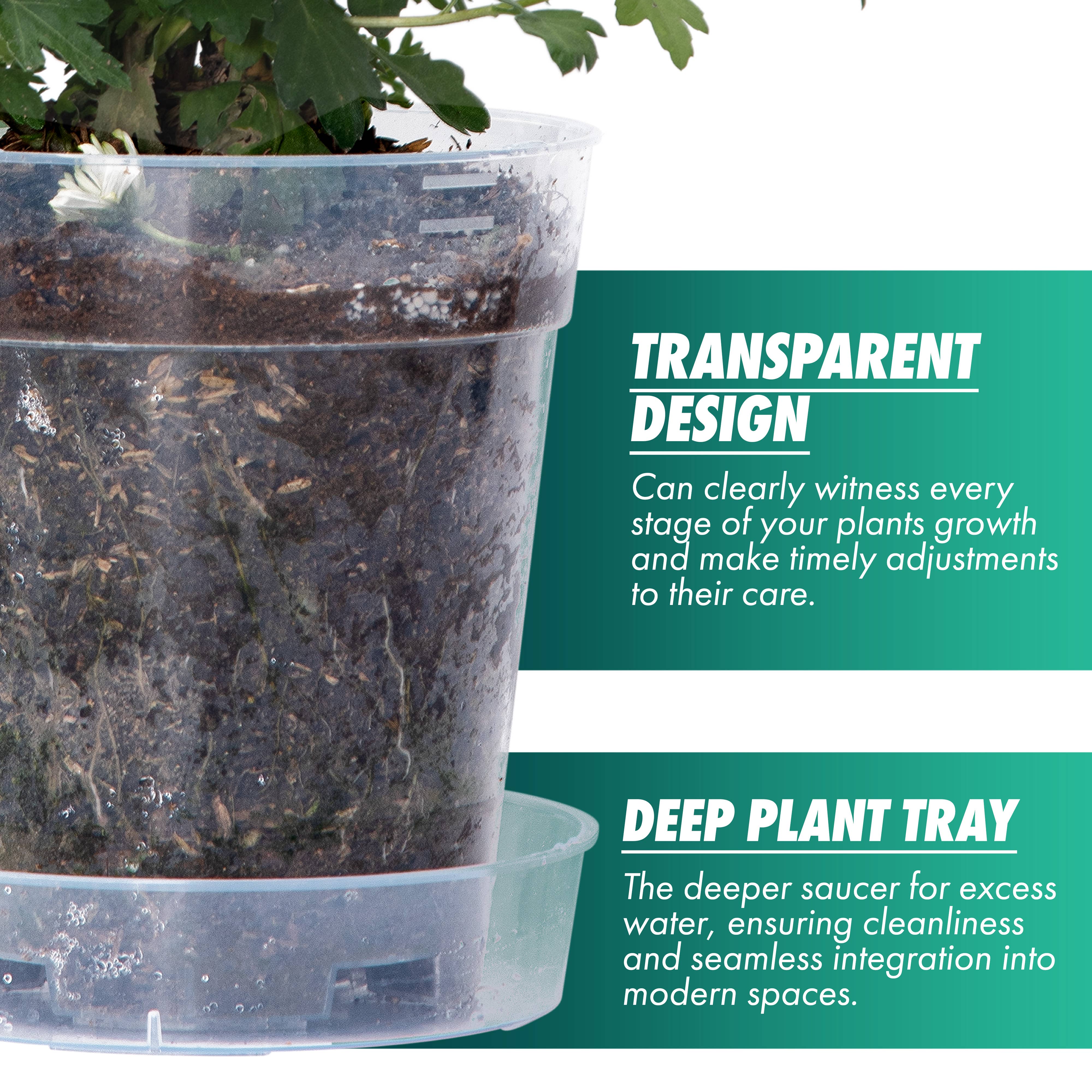 D'VINE DEV – Engroshandel Plantekrukke – KLAR PLANTESKOLEKRUKKE MED EN SAMMENLÅSENDE UNDERBAKKE, 6,5" X 7"5