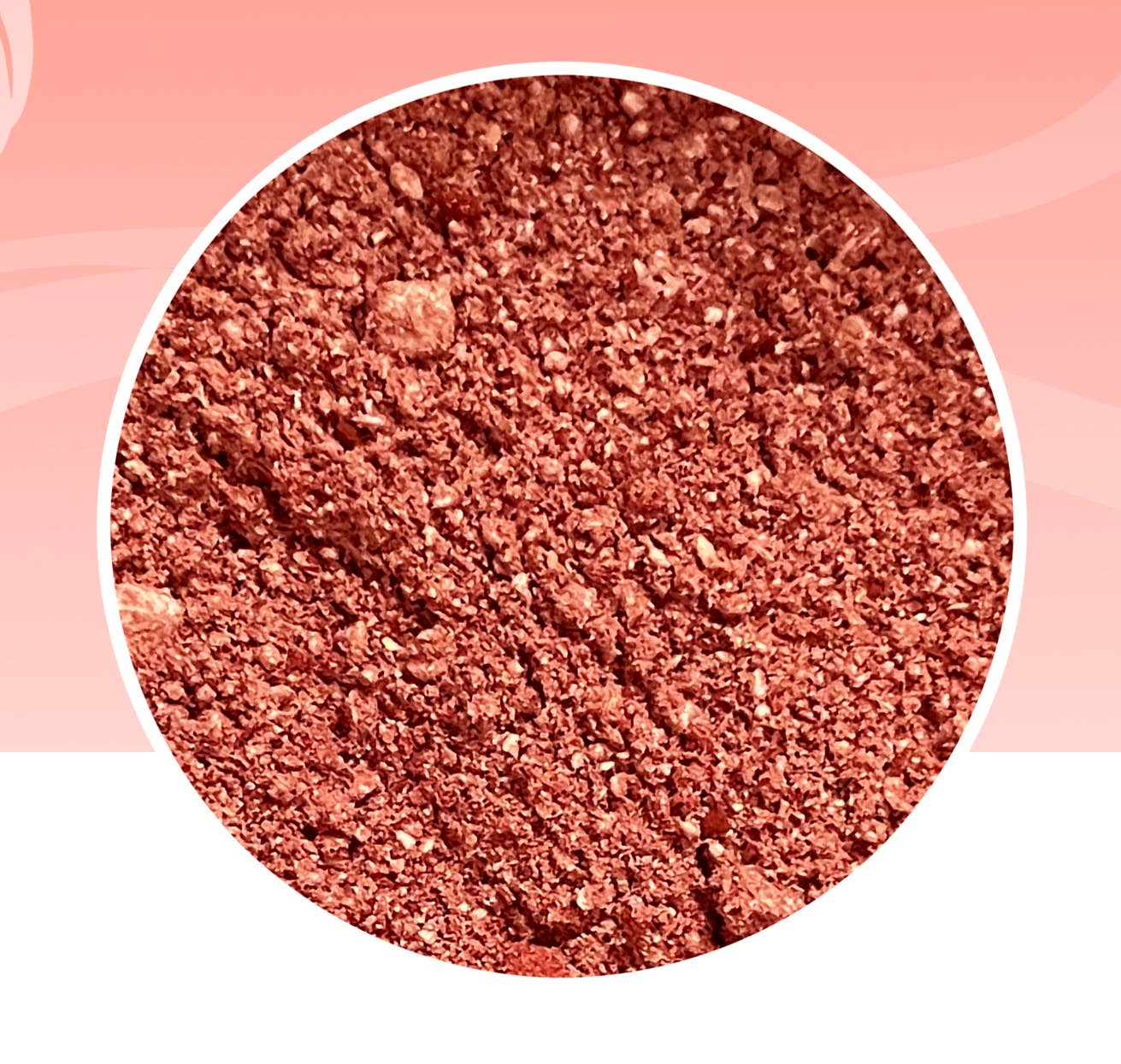 Le petit maître - Wholesale Hot Cocoa Mix/Kit - Strawberry hot chocolate cocoa powder2